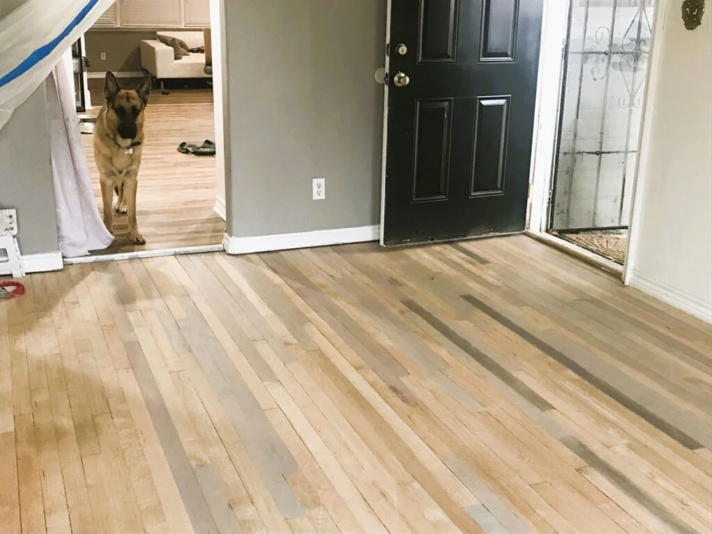 staining hardwood flooring DIY