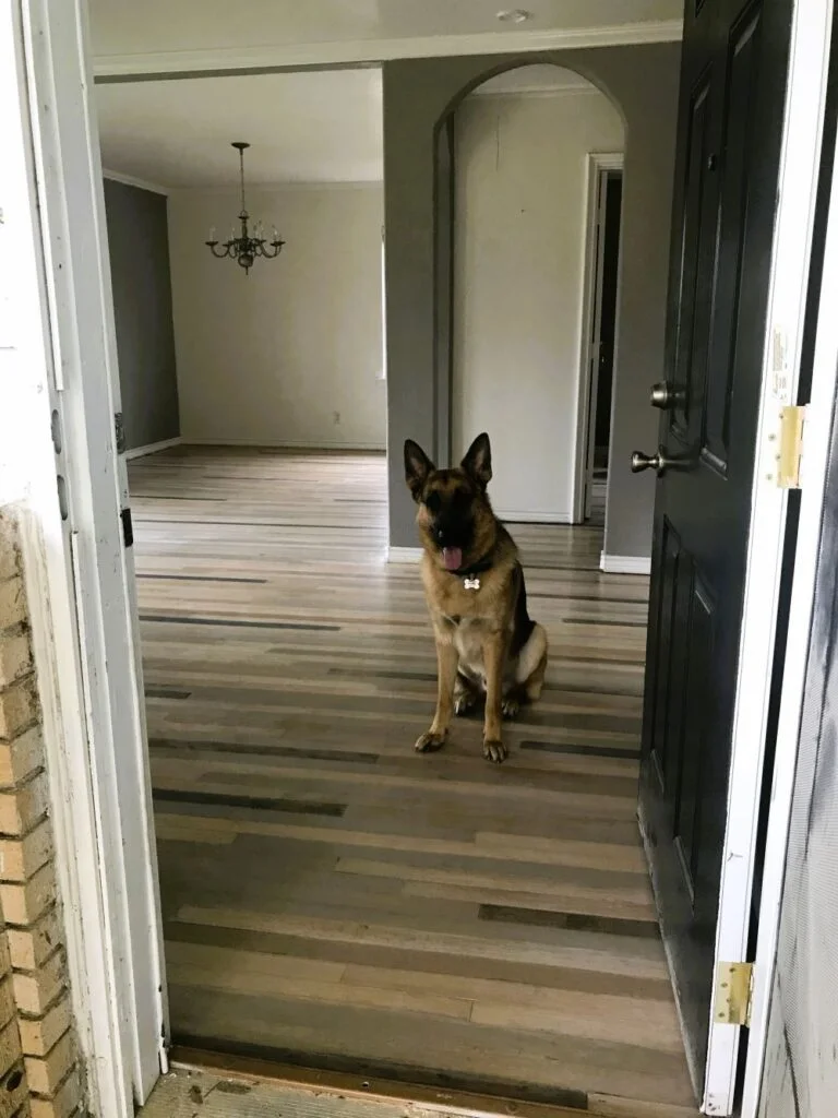 modernizing old hardwood flooring